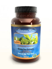 Green Tea Extract