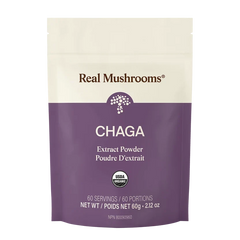 Extrait de Chaga (poudre)