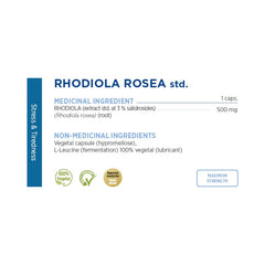 Rhodiola Rosea Extract