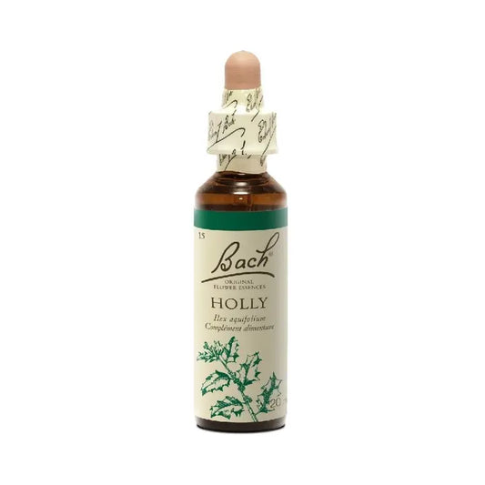Holly - Holly