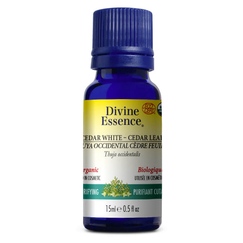 Western Thuya (Cedar leaf) Organic.
