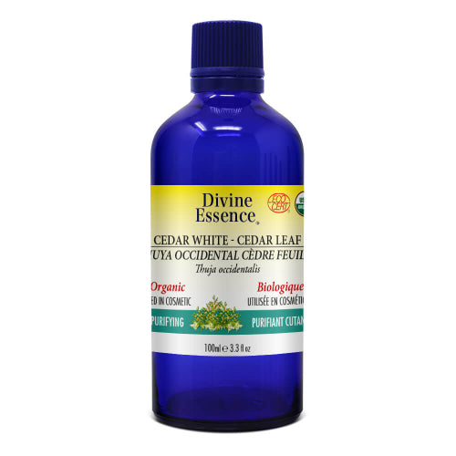 Western Thuya (Cedar leaf) Organic.