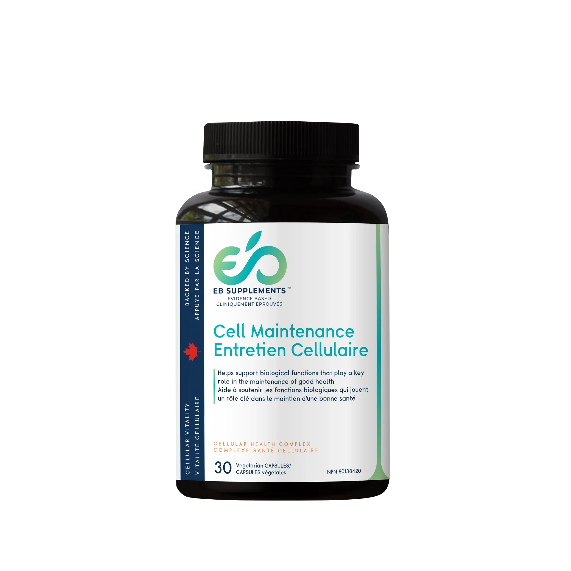 Entretien Cellulaire - Cell Maintenance