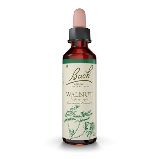 Walnut - Walnut 