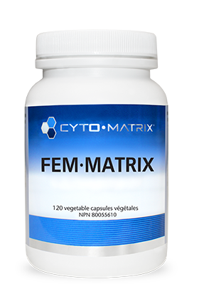 Fem Matrix 