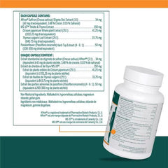 Menorelief