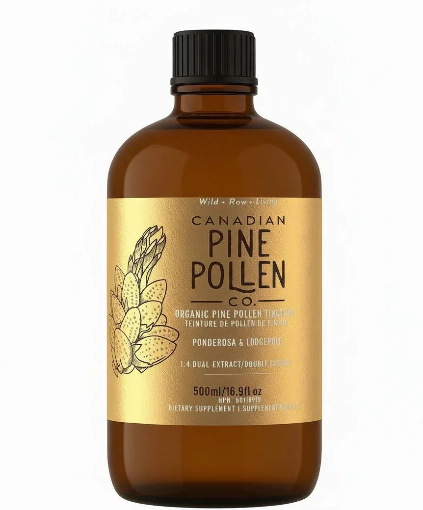 Teinture de pollen de pin bio - double extrait