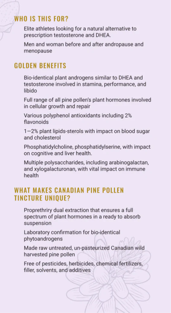 Teinture de pollen de pin bio - double extrait