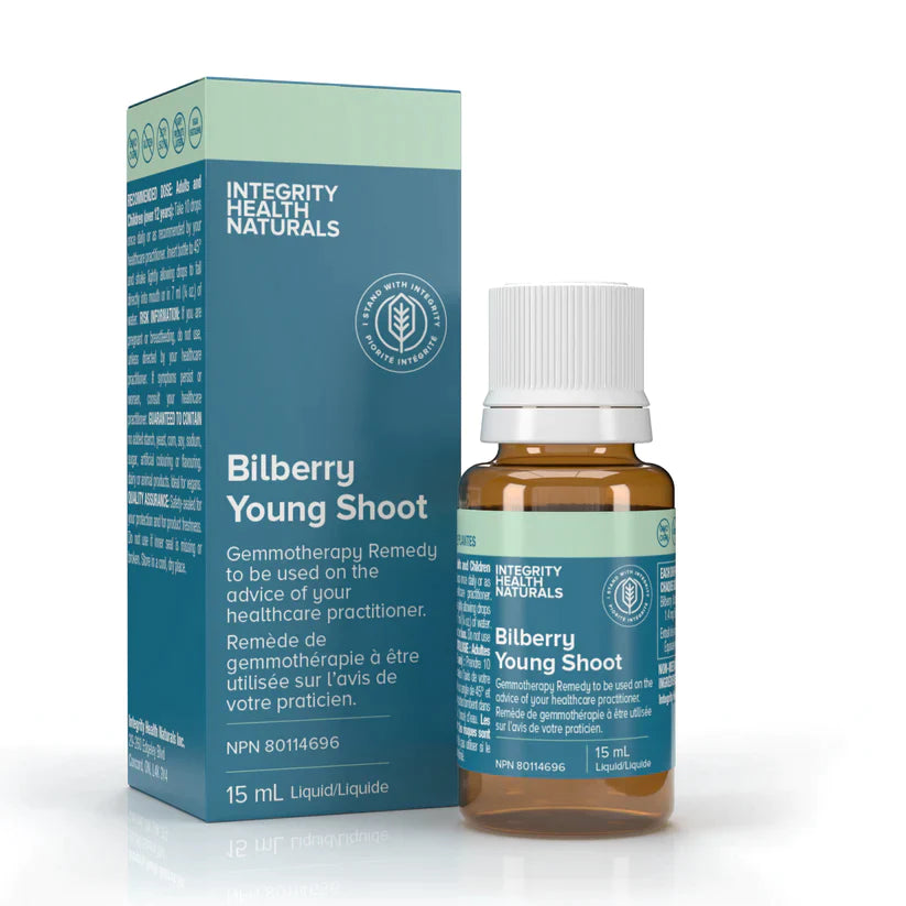 Bilberry Young Shoot - Vaccinium myrtillus