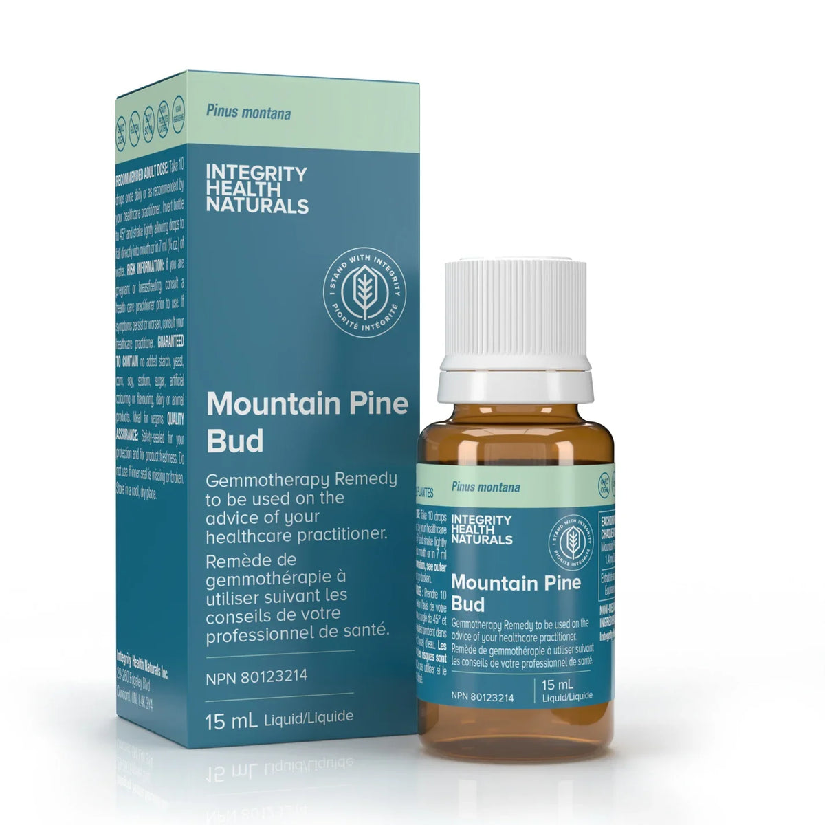 Mountain Pine Bud - Pinus Montana