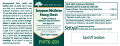 European Mistletoe Young Shoot